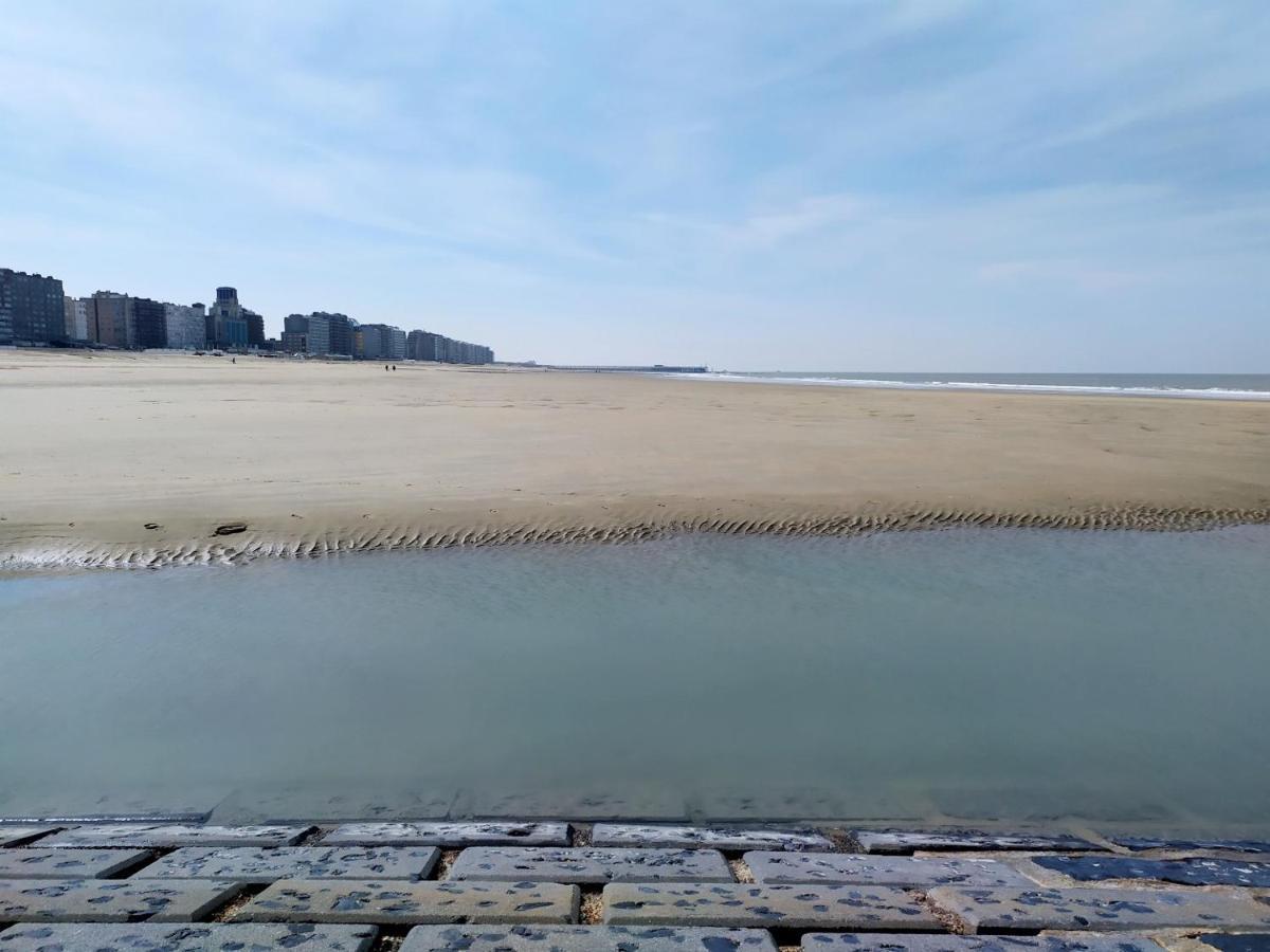 Appartement Douze Mer 布兰肯贝赫 外观 照片